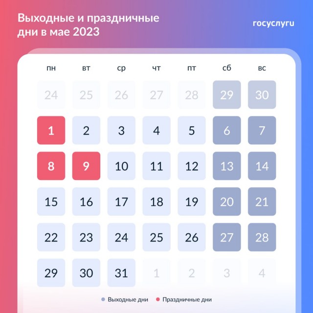 Победная поступь идиотизма по планете – том 12