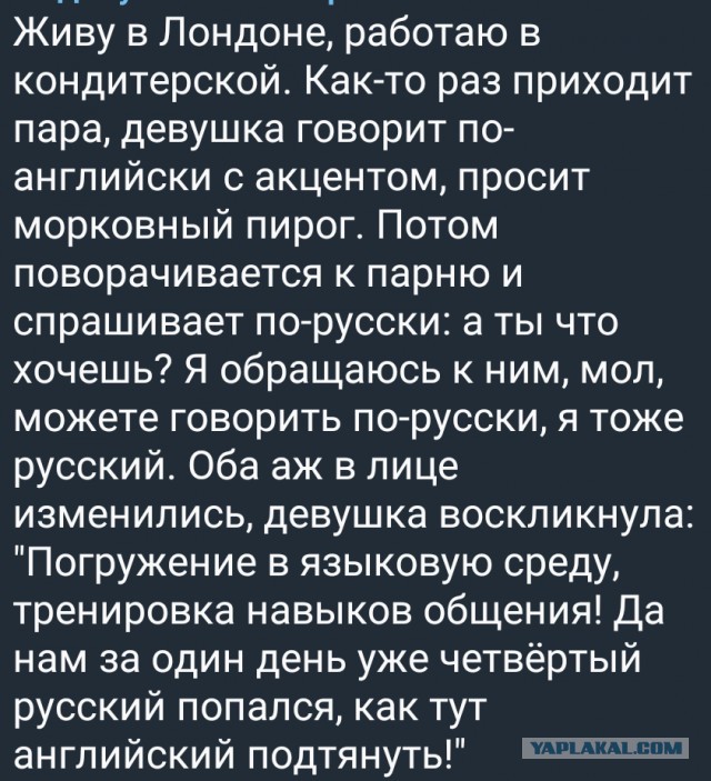 Победная поступь идиотизма по планете – том 16