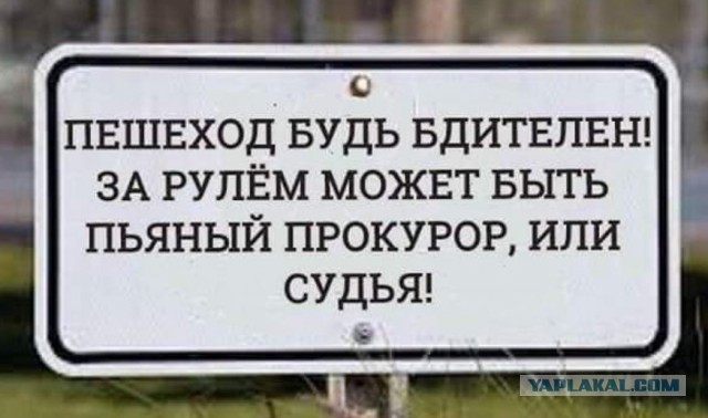 В Адыгее судья горсуда сбил группу детей на пешеходной набережной. Один ребёнок погиб.