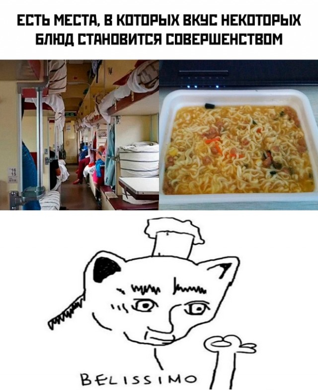 Весёлый полтишок 11.08.23