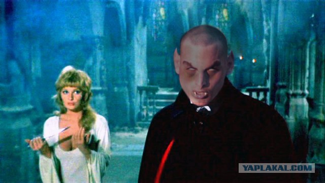 Грозненский фанат ФК "Терек"