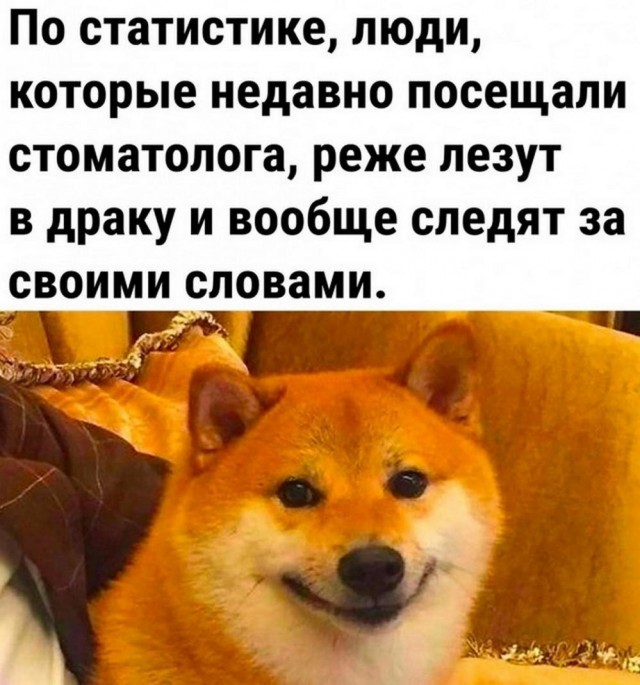 Баяны разной степени давности.
