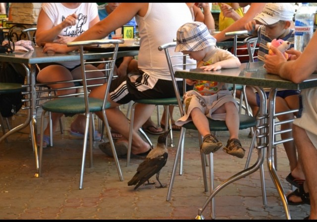 Была бы у меня такая сорока...