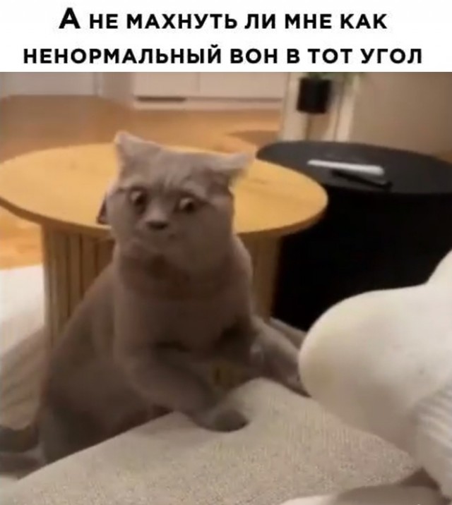 Так себе картинки  07.02.24
