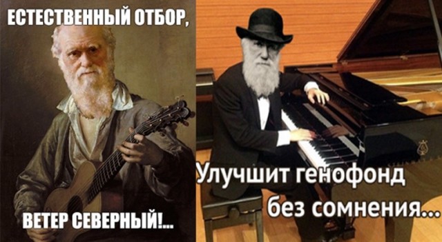 Две «Тойоты» лоб в лоб столкнулись