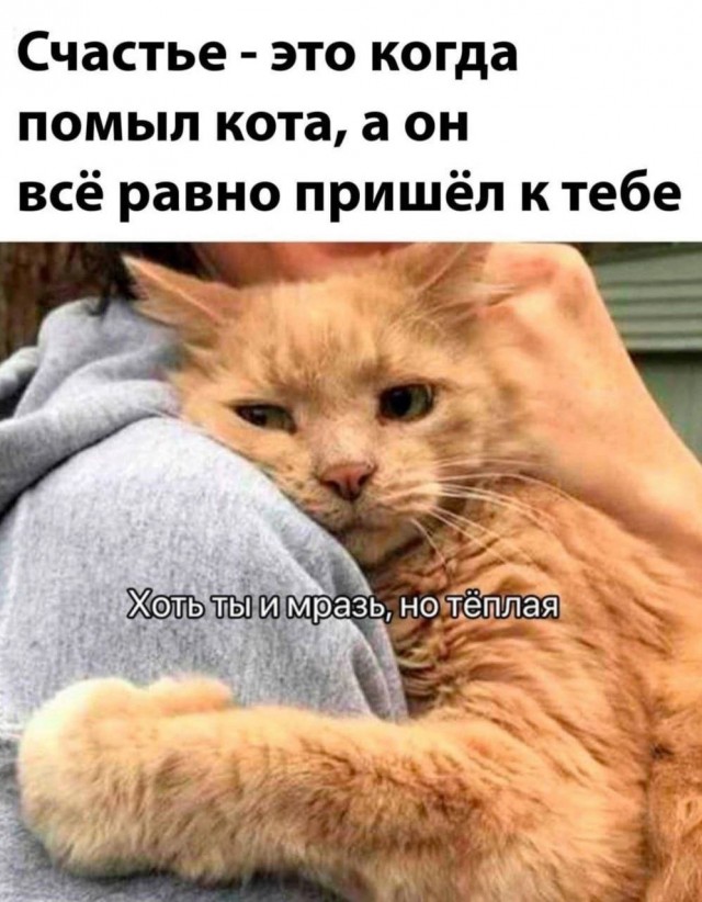 Так себе картинки 04.05.24