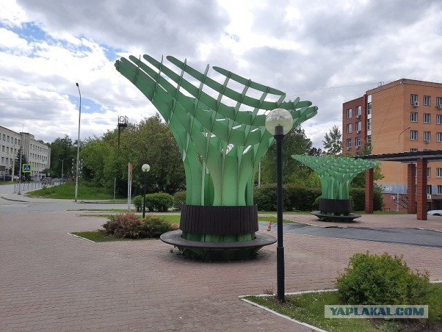 Деревенская Америка - 10