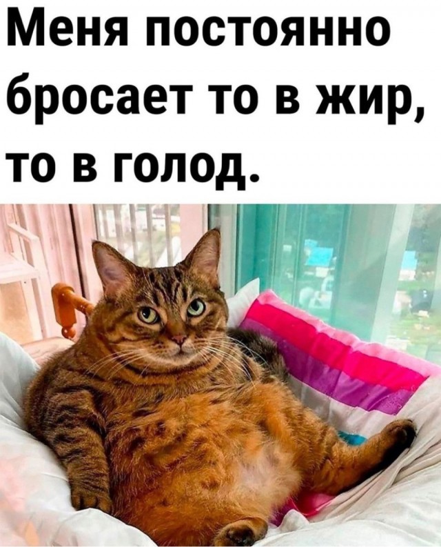 Немного забавных картинок от 01.09.2024