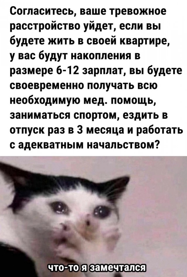 Так себе картинки 27.09.24
