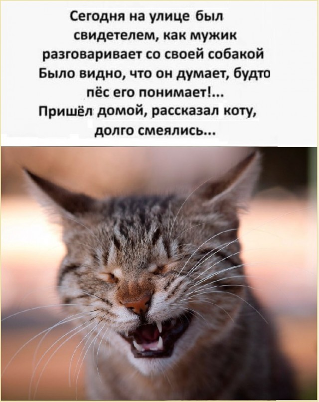 Картинки разные с надписями и без
