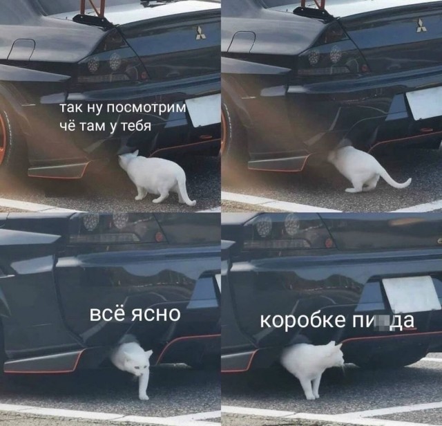 Завалялось тут случайно немного забавных картинок