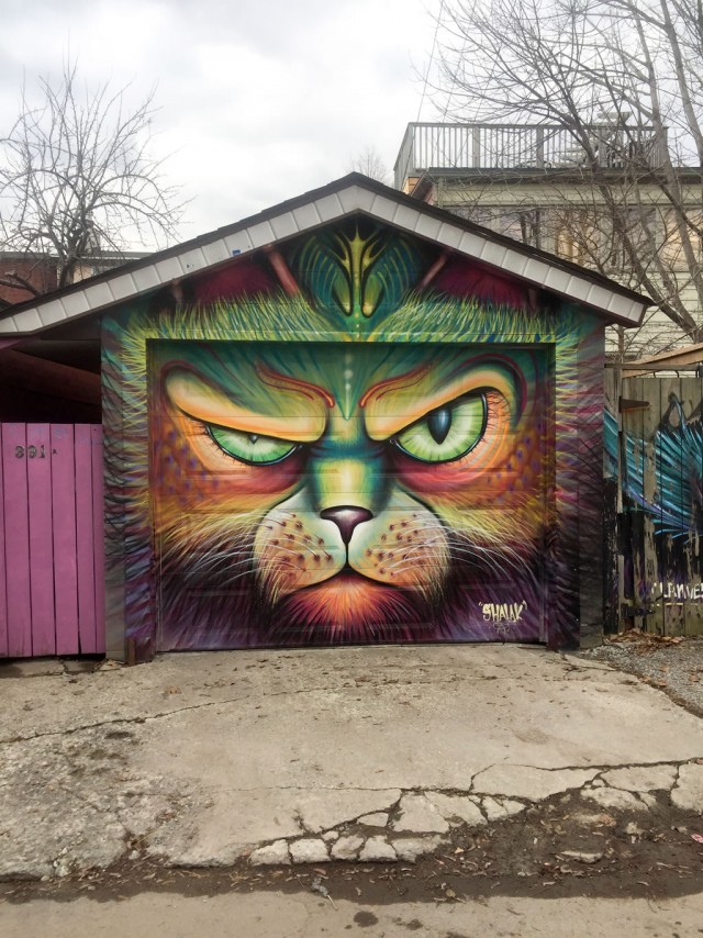 Прикольные и просто красивые картинки