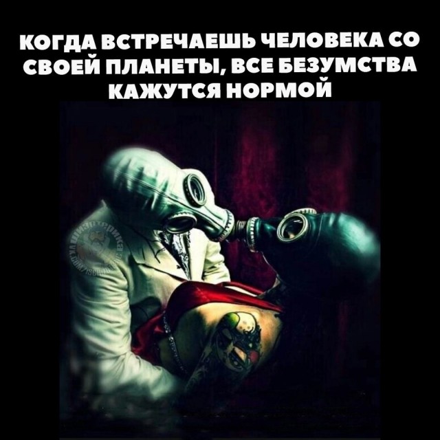 Прикольные и просто красивые картинки 24.12.2024