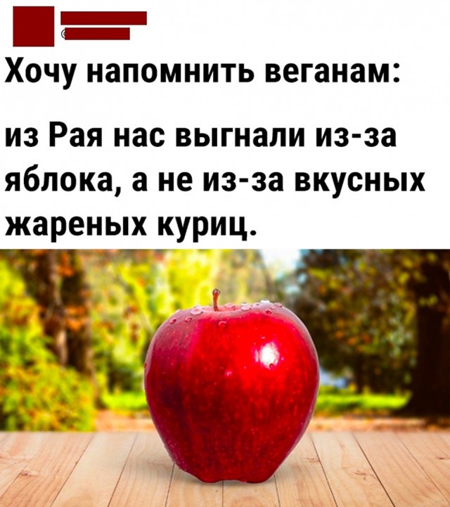 Так себе картинки 20.03.25