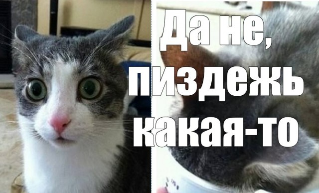 "Талибан" больше не террористическая организация.