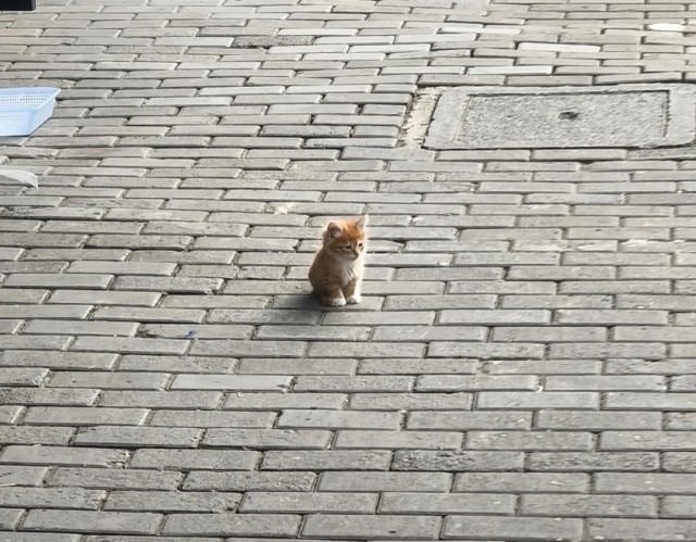 Один в большом городе.