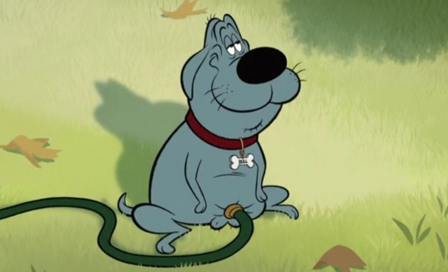 Знакомьтесь, Булль.