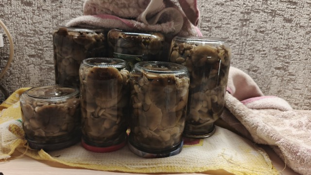 Воскресная прогулка в лес