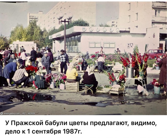Сентябрьское настроение. Часть вторая.