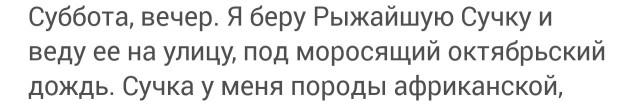 Осторожно, в продаже имеется ХАМСА.