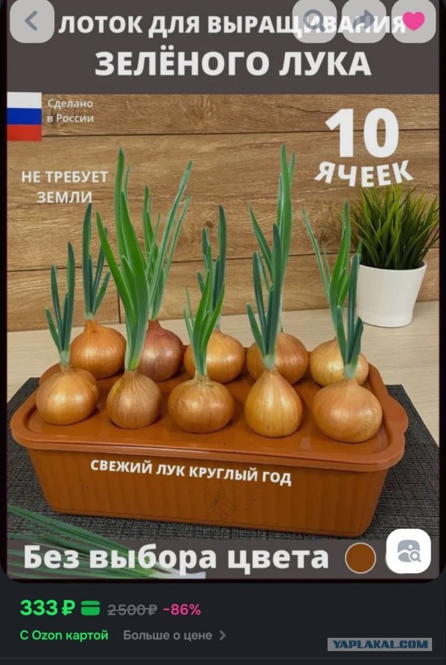 Бесплатные зимние витамины