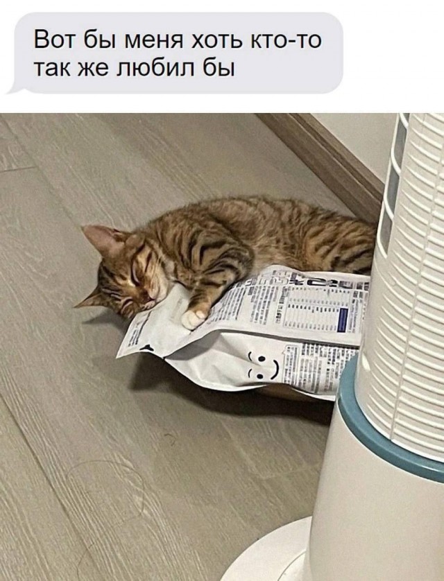 Небаянистая деградация 2