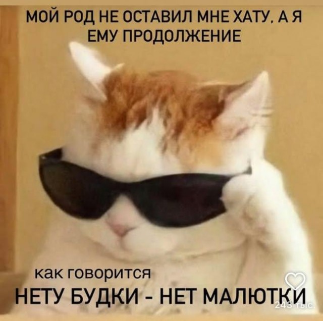 Воскресные картинки