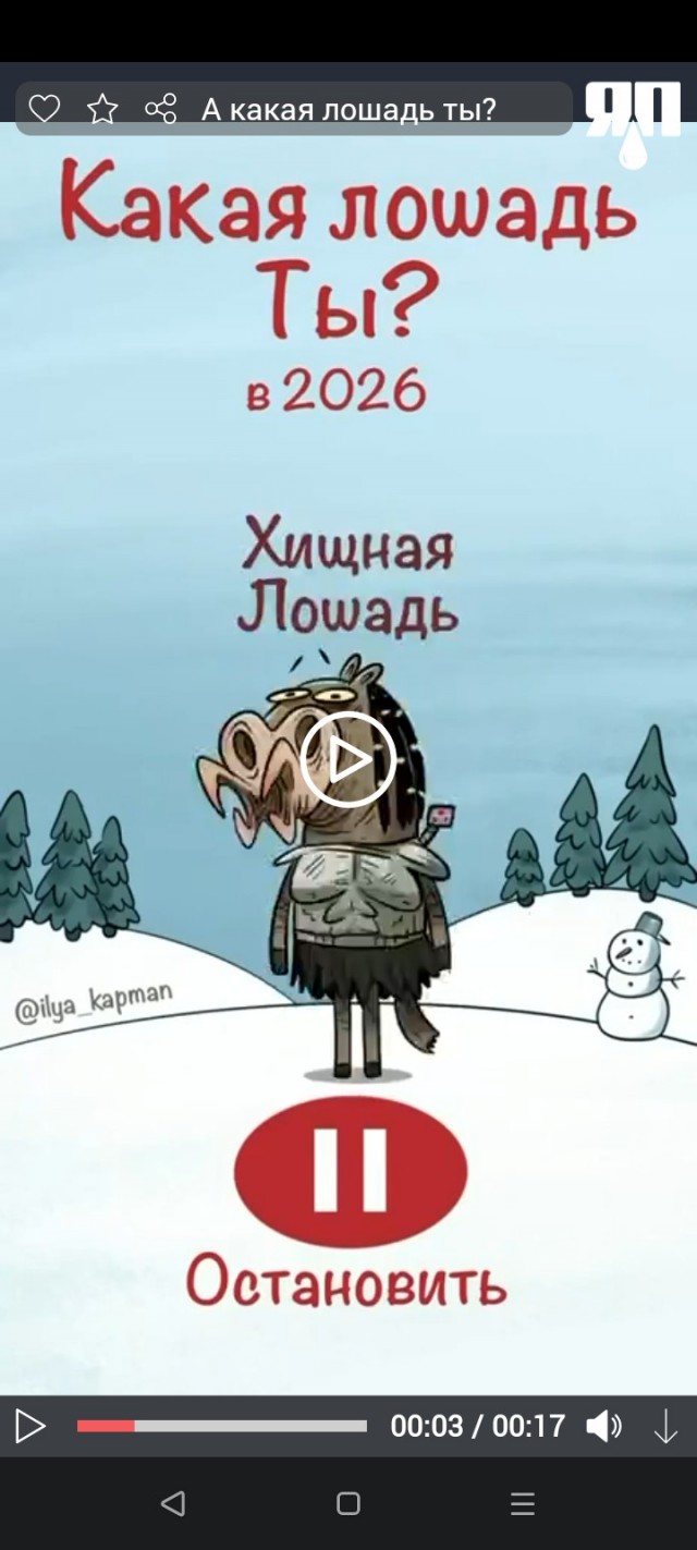 А какая лошадь ты?