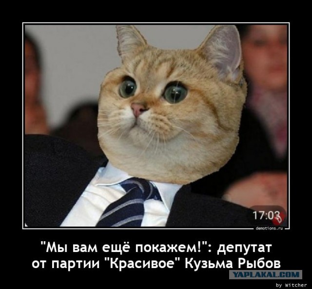 Домен WhatsApp* пропал из DNS-серверов Роскомнадзора
