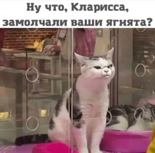 Так себе картинки 22.02.26