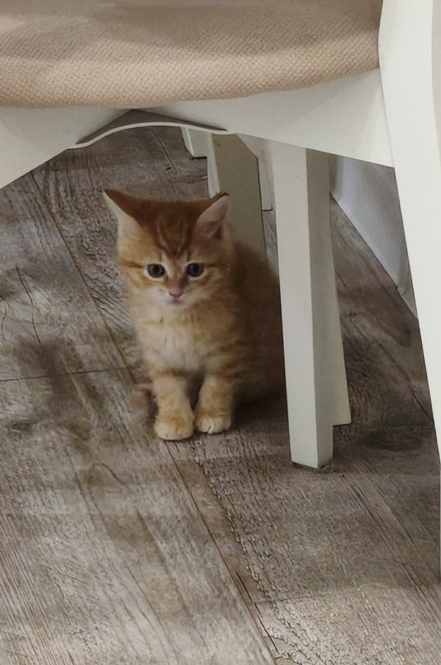 Ф КотоФторник.