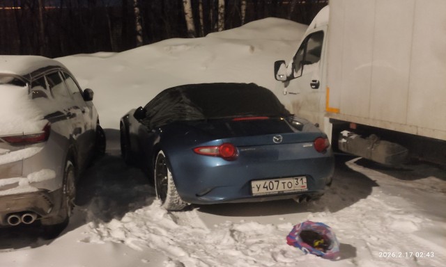 Зайку бросила хозяйка