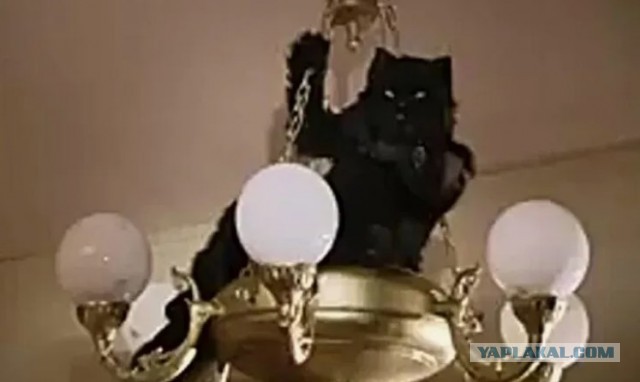 "— Бейте меня! — Ох, тебя бить будут нормально!"