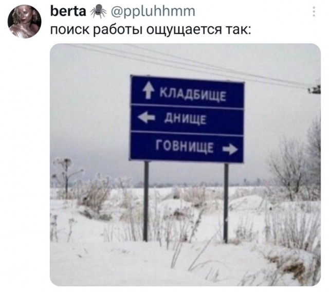 Среды картинки