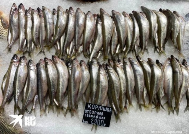 Традиционная весенняя рыбка в Питере становится деликатесом
