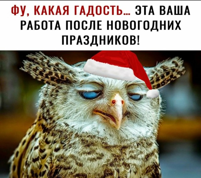 Напоминаю! До Нового Года осталось 228 дней