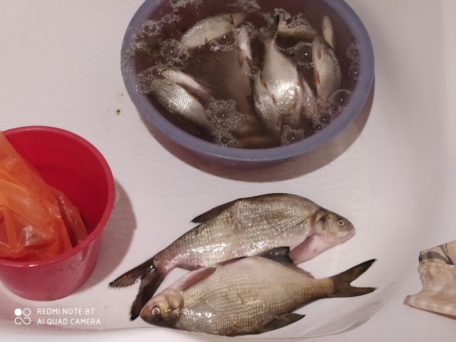 Петрович, мне кажется