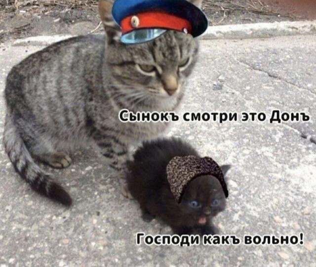 Картинки всякие разные невпопад 1.5