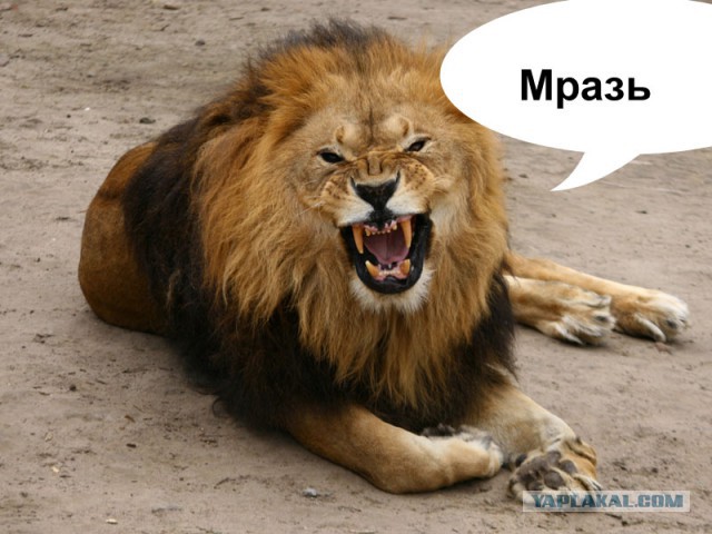 Самый трусливый поступок