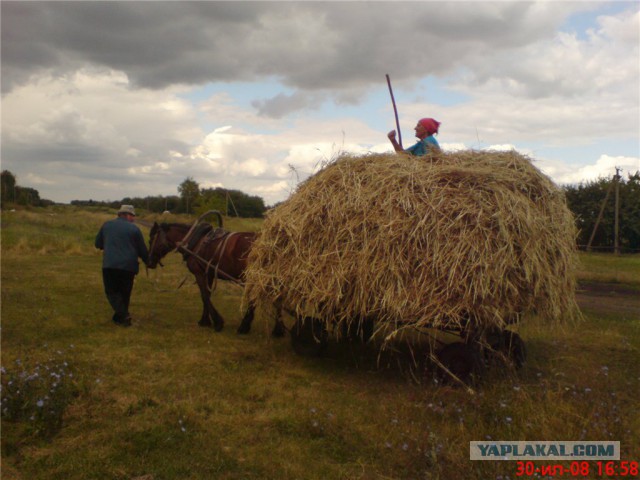 Красивые картинки о деревне