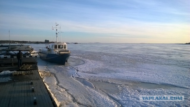 Мурманская область