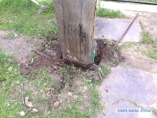 Ворота с элементами  ковки