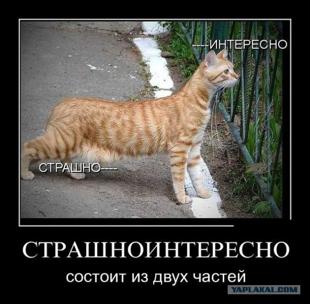 Картинки с просторов на четверг