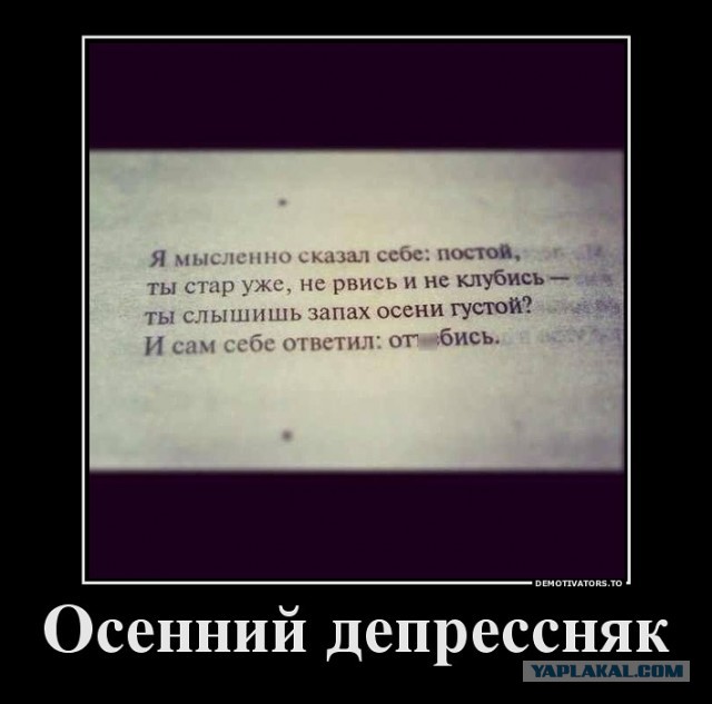 Весёлые картинки