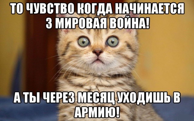 Накануне войны?