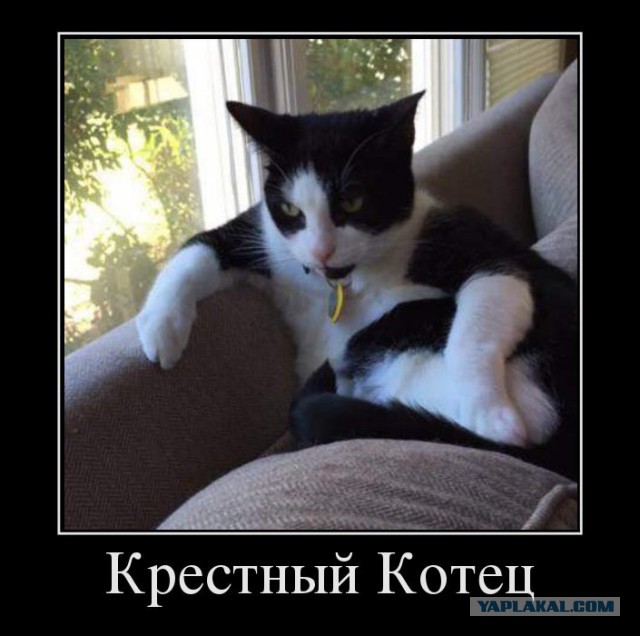 Немного картинок