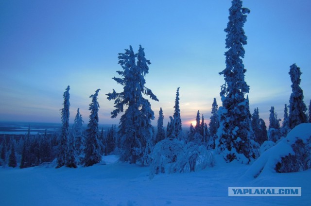 Ташкент, 2 января