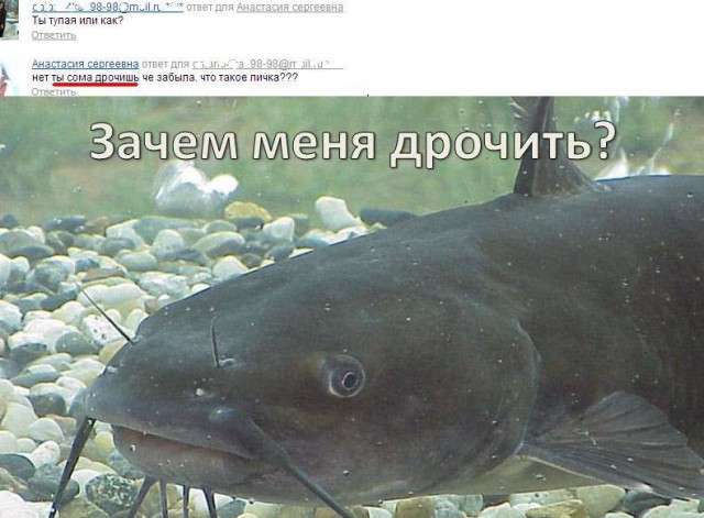 Грамотеи из интернетов умеют сочинять новые слова, даже не задумываясь