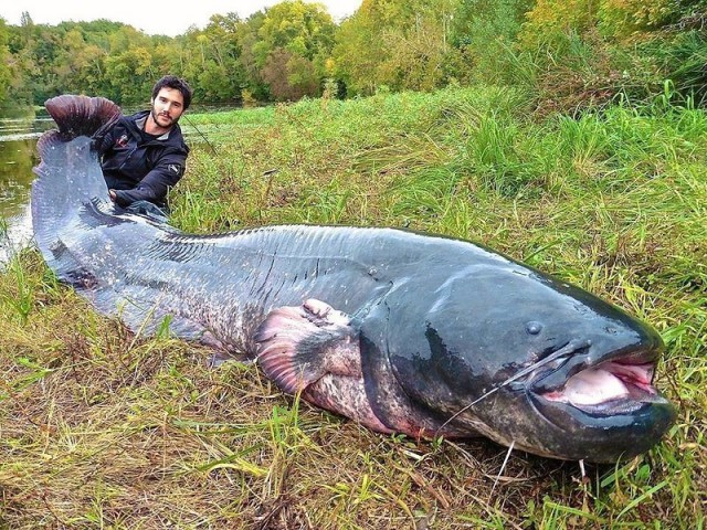 Тот самый момент, когда страшно доставать улов