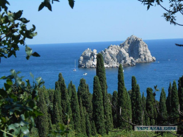 Немного солнца и тепла. Крымские виды.
